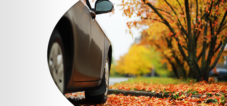 7 handige tips om je auto herfstklaar te maken